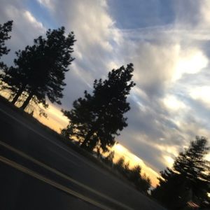 Meet your Posher, Genesis